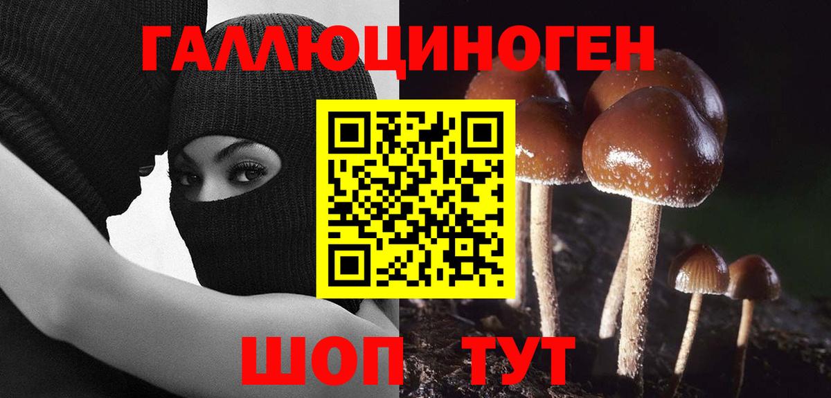 Псилоцибиновые грибы мицелий Артёмовский